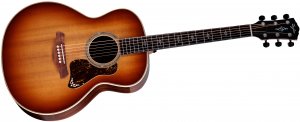 Taylor Gold Label 814e Sunburst