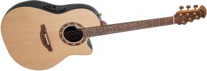 Ovation Pro Legend 1767-4S-G USA