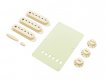 Fender Stratocaster Accessory Kit - AW