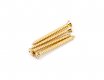 Fender Neck Mounting Screws - GH