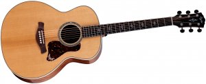 Taylor Gold Label 814e