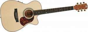 Maton EBG808C Michael Fix