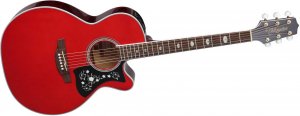 Takamine GN75CE - WR