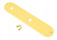 Fender Telecaster Control Plate - GH