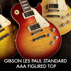 Gibson Les Paul Standard AAA Figured Top