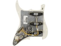 Fender Custom Fat 50's Pre-Wired Stratocater Pickguard SSS - PA