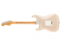 Fender Player II Stratocaster - RW WBL