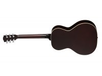 Gibson L-00 Special - VS