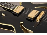 Ibanez PM120 - BK Pat Metheny Signature