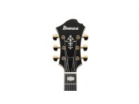 Ibanez PM3C-NAL Pat Metheny Signature