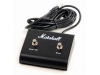 Marshall MA100H