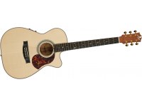 Maton EBG808C Michael Fix