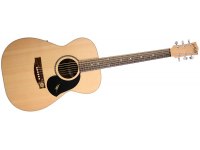 Maton EBG808L