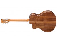 Taylor 214ce-N