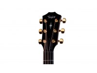 Taylor 50th Anniversary 312ce