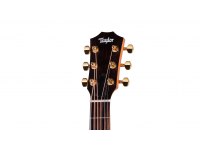 Taylor 50th Anniversary GS Mini-e Rosewood - NA