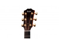 Taylor Legacy 714ce