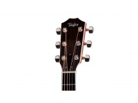 Taylor Legacy 815e