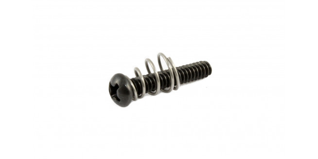 Allparts Steel Single Coil Pickup Screws 8-Pack - BK