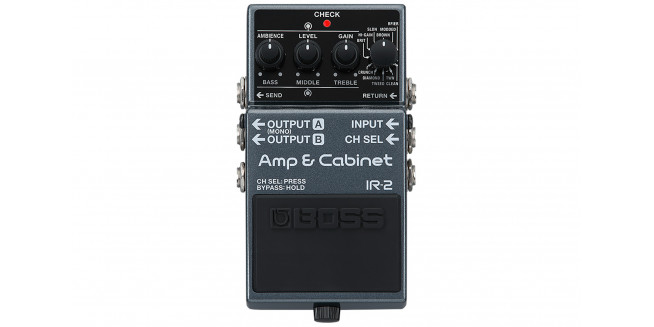 Boss IR-2 Amp & IR Cabinet