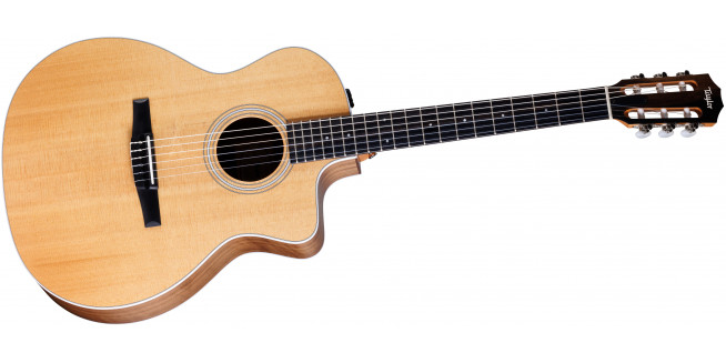 Taylor 214ce-N