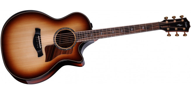 Taylor Builder's Edition 814ce Honduran Rosewood / Adirondack