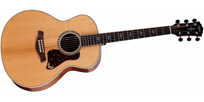 Taylor Gold Label 814e