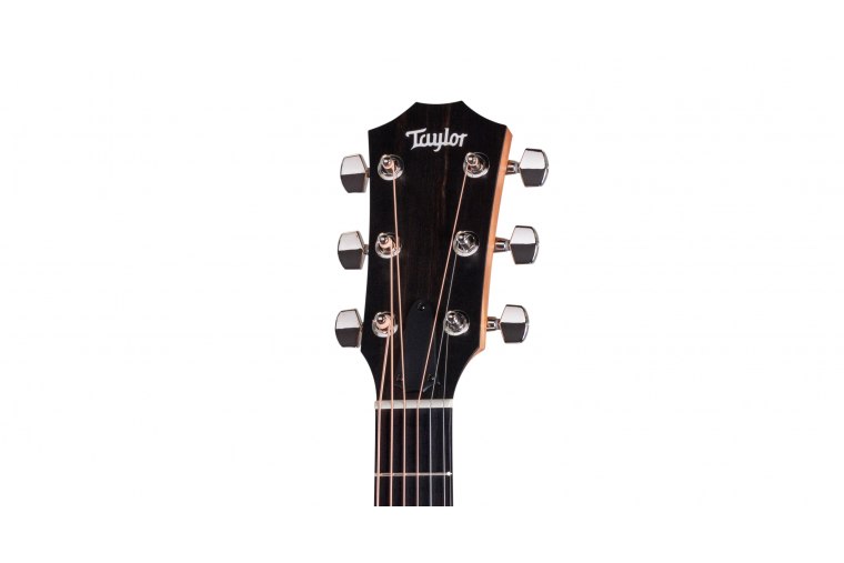 Taylor 210ce Plus