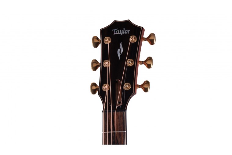 Taylor Builder's Edition 814ce Honduran Rosewood / Adirondack