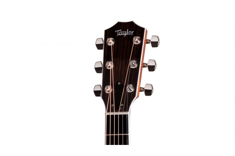 Taylor Legacy 815e